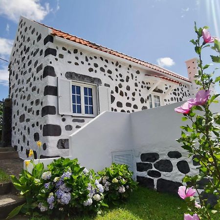 Vivenda Flores - Casa Hortensia Lomba  Exterior foto